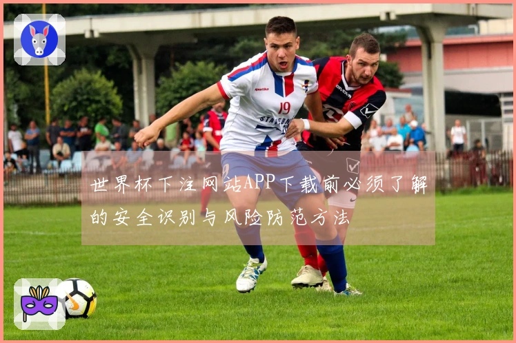 世界杯下注网站APP下载前必须了解的安全识别与风险防范方法