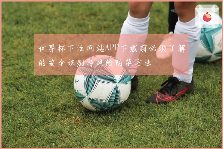 世界杯下注网站APP下载前必须了解的安全识别与风险防范方法