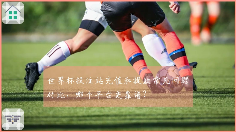 世界杯投注站充值和提款常见问题对比，哪个平台更靠谱？